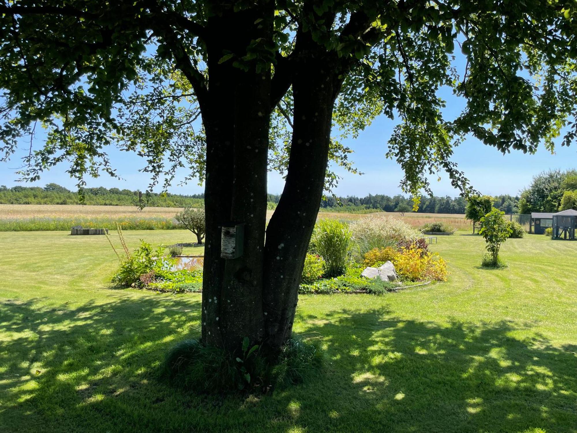 Appartamento Refshalegaard Engesvang Esterno foto